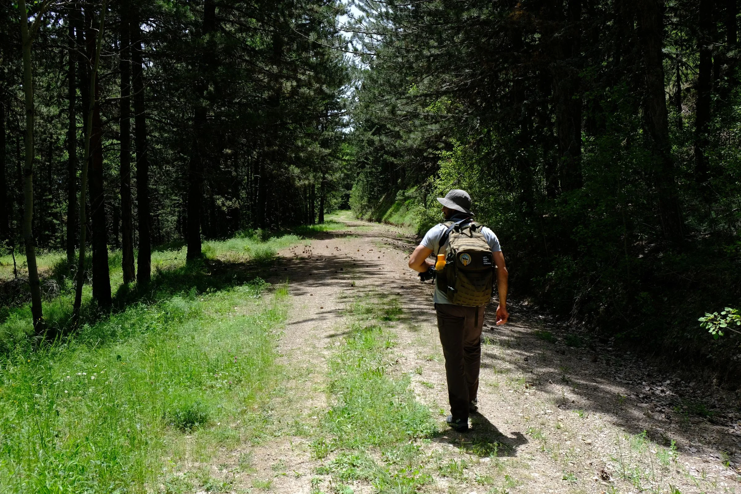 A person with a backpack walking along a sunlit forest road